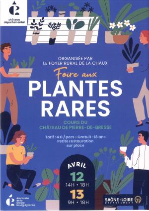 Foire aux plantes rares - château de Pierre-de-Bresse 12-13 avril 2025