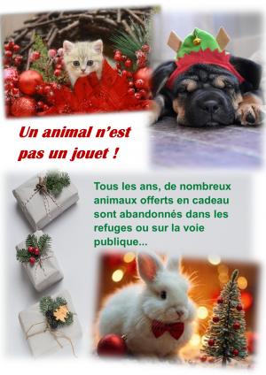 Non à l'animal cadeau